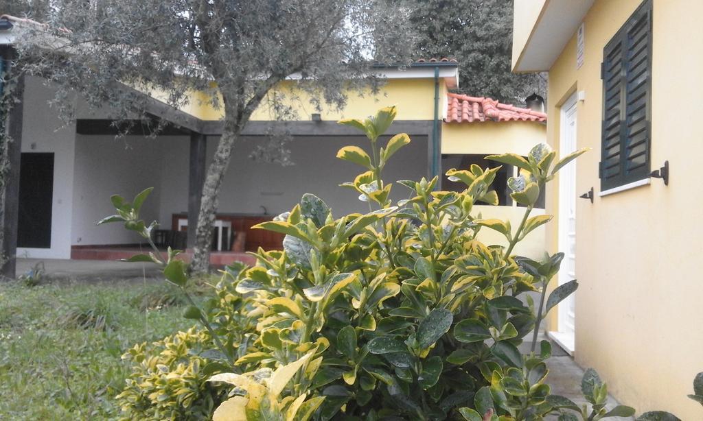 Casa Amarante Porto Villa Exterior photo